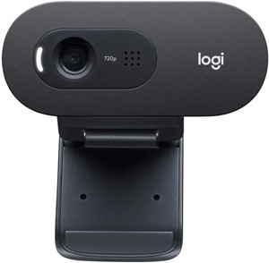 Logitech C505e HD - 30Fps Foto prodotto